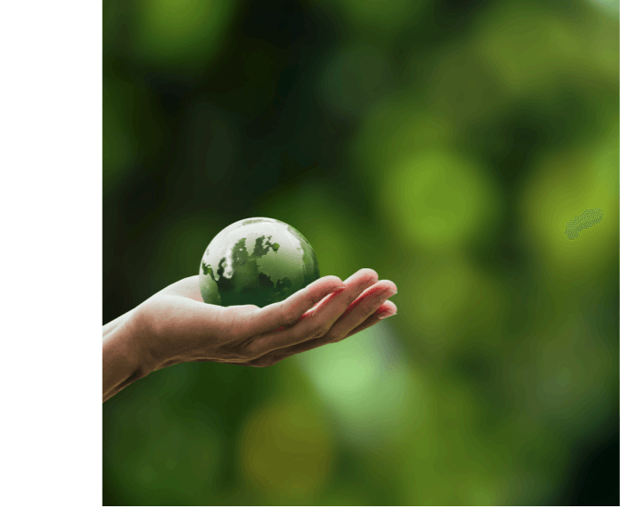 A hand holding a globe