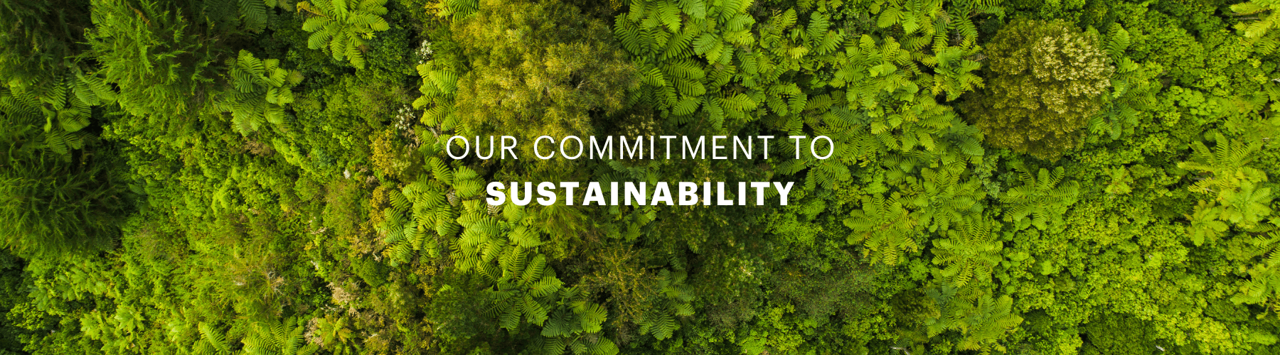 Banner of trees and text reading 'out commitment to sustainability'