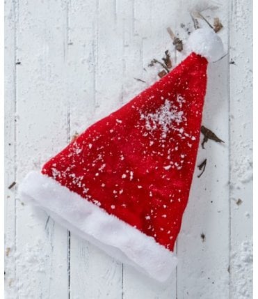 Plush Santa hat